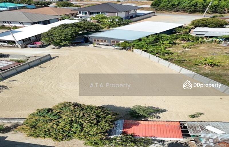 For Sale - Land, Mitsamphan 16, Ban Puk, Chonburi, Chon Buri