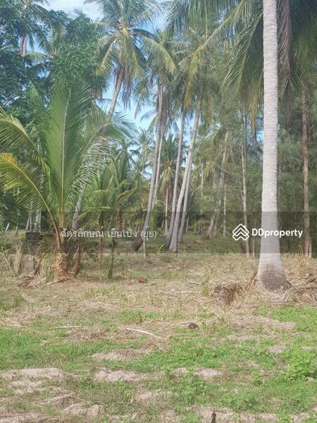 For Sale - ขายที่ดินทำเลดี เดินทางสะดวก ใกล้หาดแสงอรุณ ห่างจากถนนเพชรเกษมเพียง 800 เมตร ทับสะแก ประจวบคีรีขันธ์, Prachuap Khiri Khan