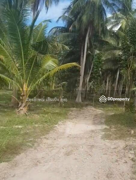 ขาย - ขายที่ดินทำเลดี เดินทางสะดวก ใกล้หาดแสงอรุณ ห่างจากถนนเพชรเกษมเพียง 800 เมตร ทับสะแก ประจวบคีรีขันธ์, ประจวบคีรีขันธ์