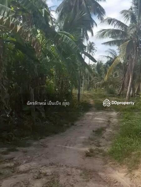 For Sale - ขายที่ดินทำเลดี เดินทางสะดวก ใกล้หาดแสงอรุณ ห่างจากถนนเพชรเกษมเพียง 800 เมตร ทับสะแก ประจวบคีรีขันธ์, Prachuap Khiri Khan