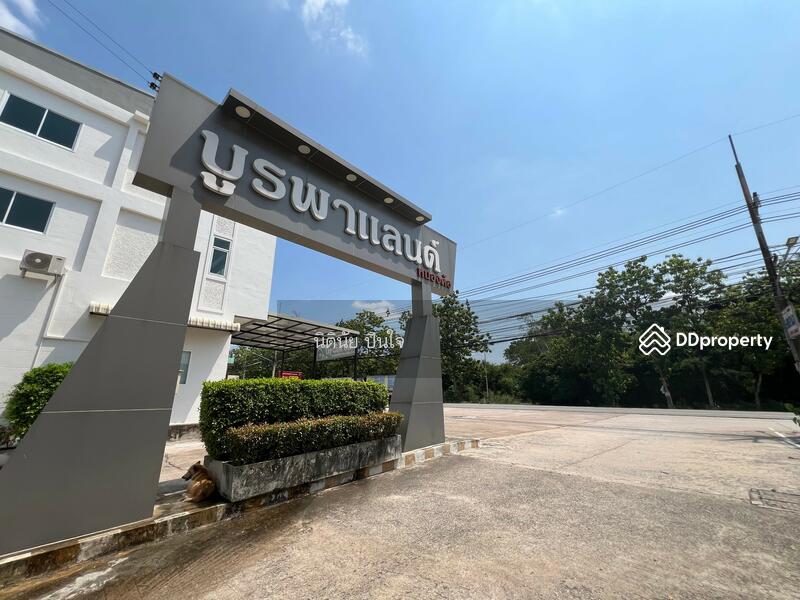 ขาย - บูรพาแลนด์ หนองค้อ, ชลบุรี