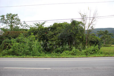 ขาย - ที่ดิน อ.พาน จ.เชียงราย ติดถนนพหลโยธิน, เชียงราย