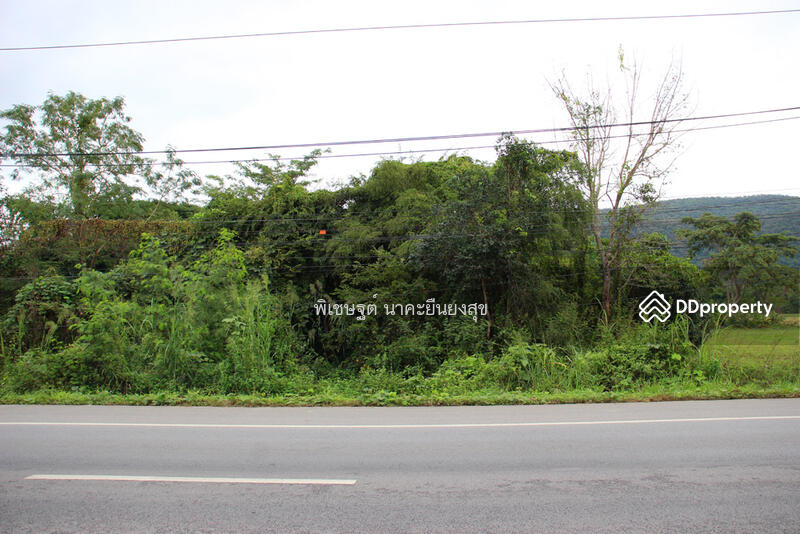ที่ดินเปล่า ติด พหลโยธิน พาน เชียงราย ใกล้วัดร่องขุ่น