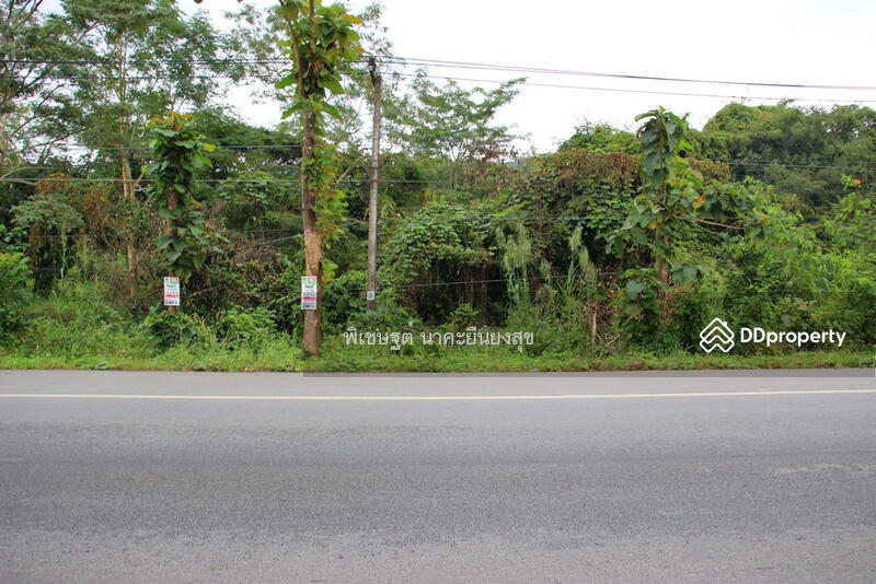 ที่ดินเปล่า ติด พหลโยธิน พาน เชียงราย ใกล้วัดร่องขุ่น