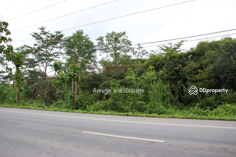 ที่ดินเปล่า ติด พหลโยธิน พาน เชียงราย ใกล้วัดร่องขุ่น