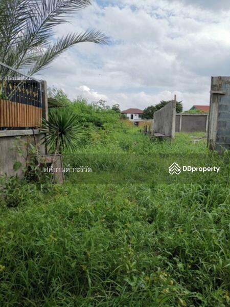 For Sale - Land for sale in Lak Si 147 sq. wa. Good Price., Bangkok