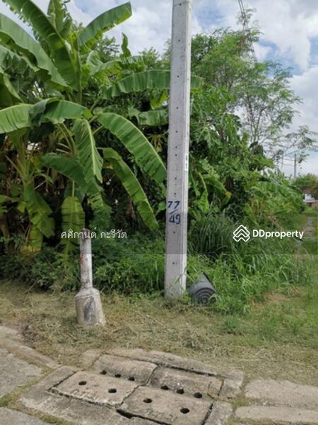 For Sale - Land for sale in Lak Si 147 sq. wa. Good Price., Bangkok
