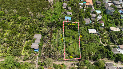 ขาย - ที่ดินบางกะเจ้า ใกล้ สวนศรีนครเขื่อนขันธ์, สมุทรปราการ