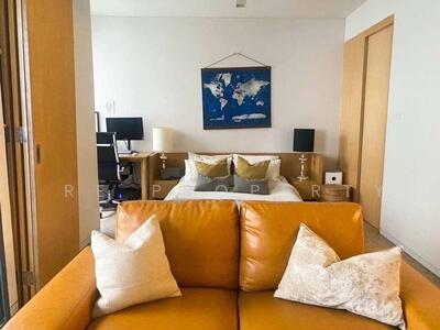 ขาย - Siamese Gioia : ไซมิส จอยญ่า, กรุงเทพ