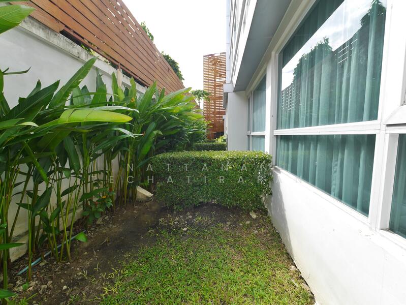 Mayfair Place Sukhumvit 64, Bangkok, Sukhumvit 64 Road, Bang Chak, Phra Khanong, Bangkok, 1 Bedroom, 37 sqm, Condo For Rent, by Nattanan Techatirapan, 60015999 - DDproperty.com