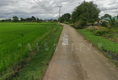 ขาย - ขายที่ดิน 19 ไร่ ถนนวังนกกา ต.แปลงยาว อ.บางคล้า จ.ฉะเชิงเทรา, ฉะเชิงเทรา