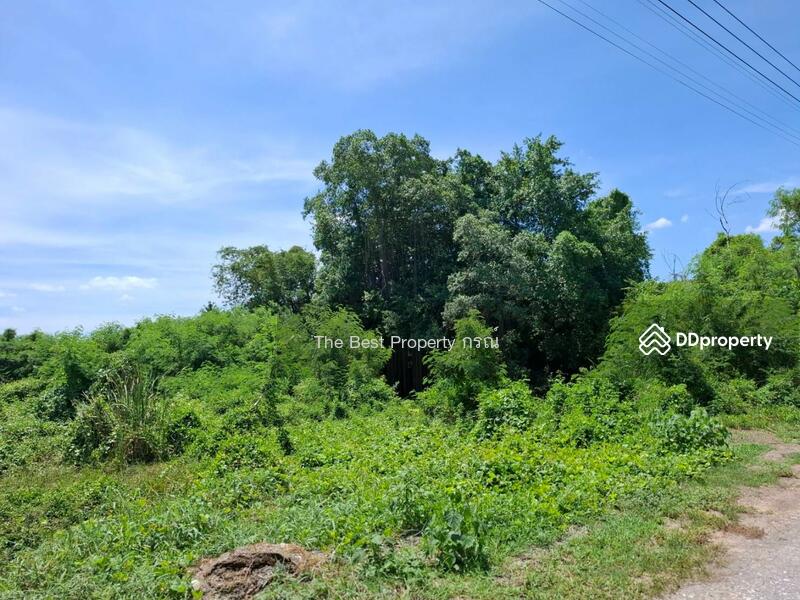 For Sale - ไทรน้อย นนทบุรี, Nonthaburi