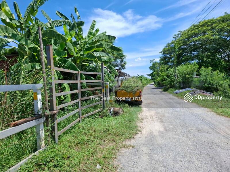 For Sale - ไทรน้อย นนทบุรี, Nonthaburi