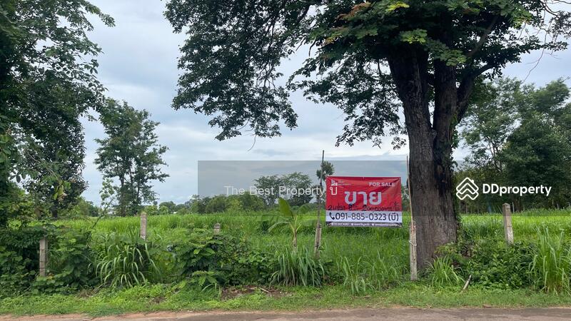 For Sale - ที่ดินนายม อำนาจเจริญ, Amnat Charoen