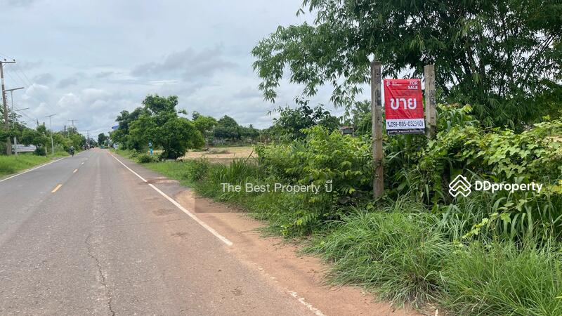 For Sale - ที่ดินนายม อำนาจเจริญ, Amnat Charoen