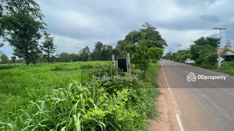 For Sale - ที่ดินนายม อำนาจเจริญ, Amnat Charoen
