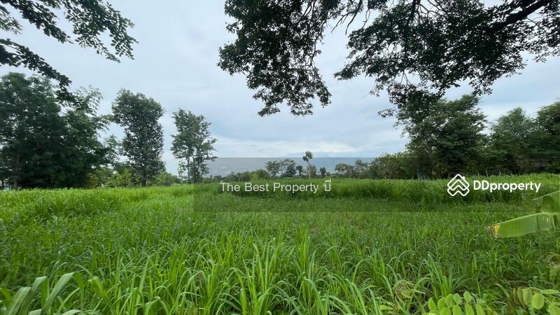 For Sale - ที่ดินนายม อำนาจเจริญ, Amnat Charoen
