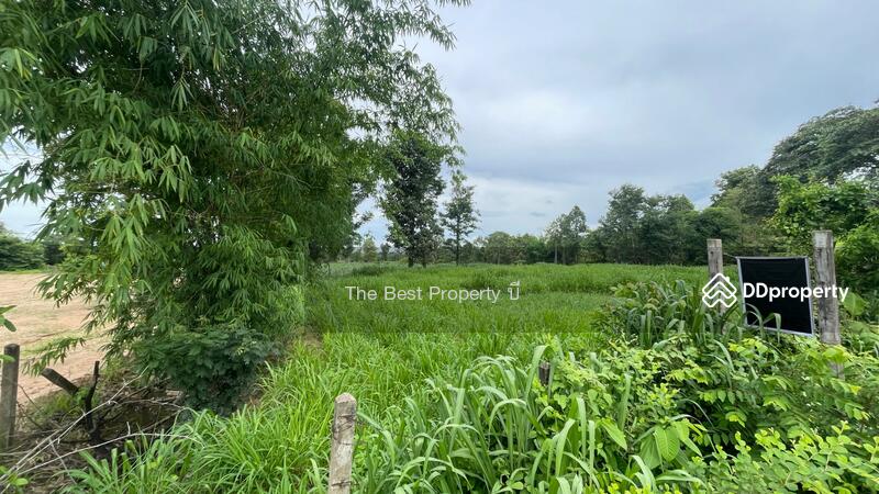 For Sale - ที่ดินนายม อำนาจเจริญ, Amnat Charoen