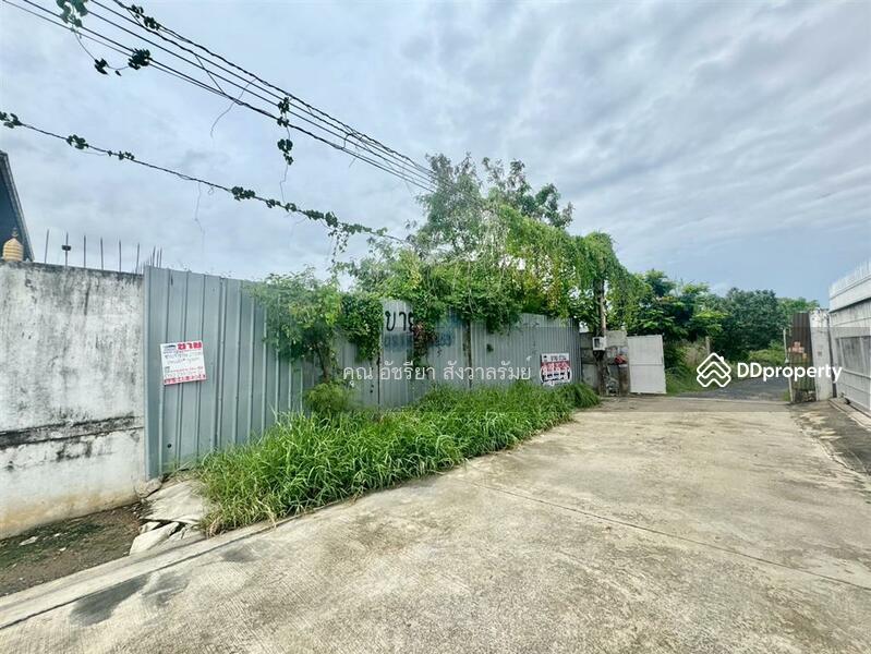 ขาย - ที่ดินเปล่า 216.4 ตร.ว. ที่ดินเปล่า ซอยสุขสวัสดิ์102 ถนนสุขสวัสดิ์ (ซอยร่มเย็นนิเวศน์), สมุทรปราการ