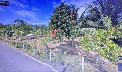 ขาย - ขายที่ดินเปล่า อ.นาโยง จ.ตรัง ใกล้ตลาดนาโยง 600 เมตร อยู่ในเขตเทศบาล ทำเลดีงาม, ตรัง