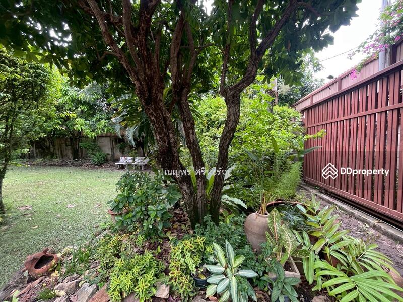 For Sale - FELIC Ladprao-Wanghin 79, Bangkok