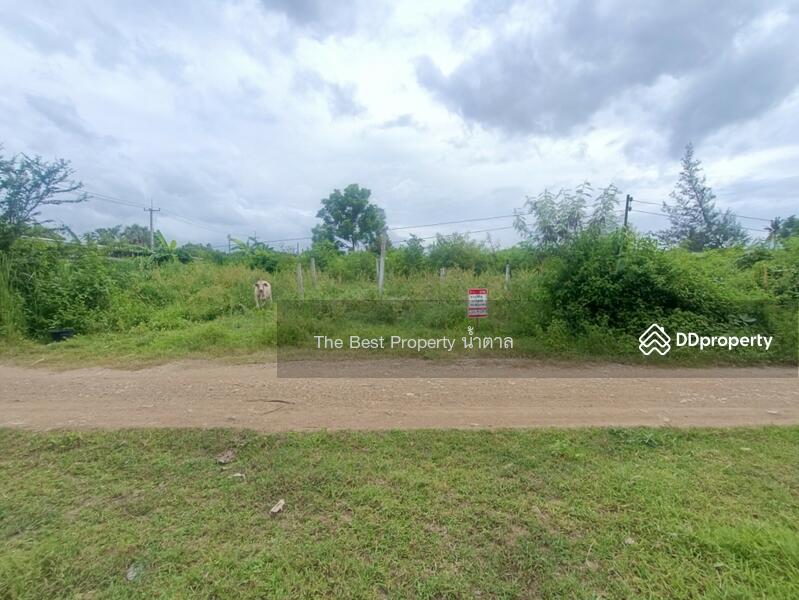 ขาย - ที่ดินแก่งกระจาน เพชรบุรี, เพชรบุรี