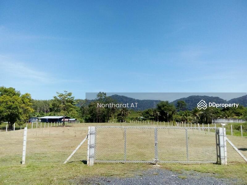 For Sale - Phuket land for sale, Phuket