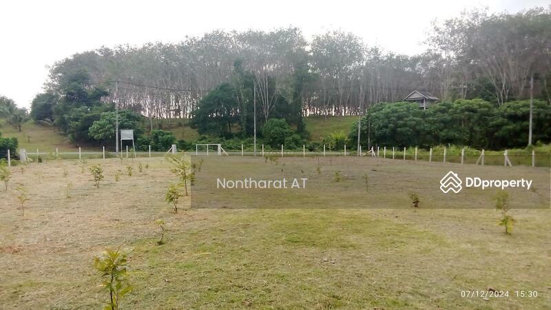 For Sale - Phuket land for sale, Phuket