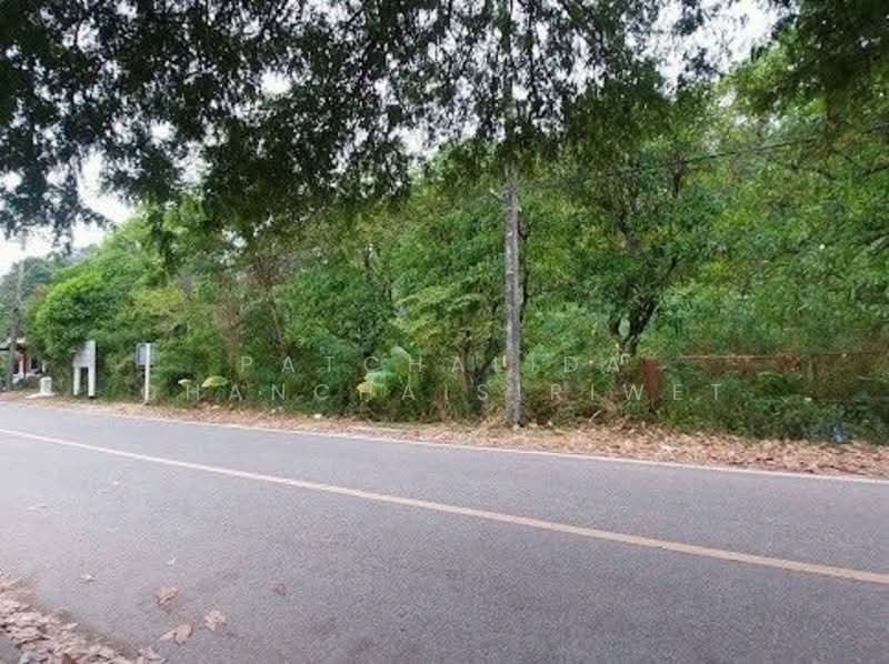 BEACHFRONT LAND PHUKET, ภูเก็ต, ป่าคลอก, ถลาง, ภูเก็ต, 13,752 ตร.ม., ที่ดิน ขาย, โดย Patchalida Chanchaisiriwet, 60017283 - DDproperty.com