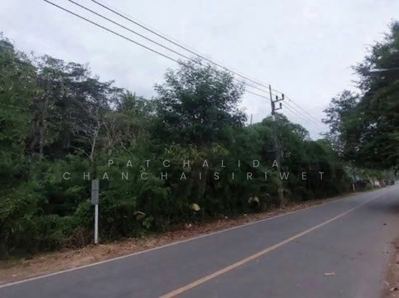 BEACHFRONT LAND PHUKET, Phuket, Pa Khlok, Thalang, Phuket, , 13,752 sqm, Land For Sale, by Patchalida Chanchaisiriwet, 60017283 - DDproperty.com