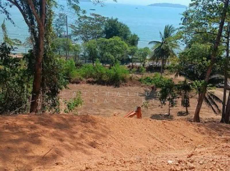 BEACHFRONT LAND PHUKET, Phuket, Pa Khlok, Thalang, Phuket, , 13,752 sqm, Land For Sale, by Patchalida Chanchaisiriwet, 60017283 - DDproperty.com
