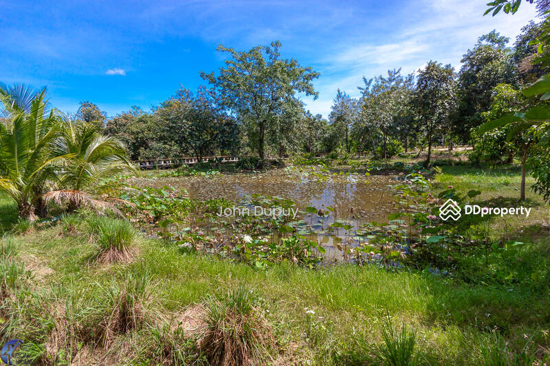 For Sale - Stunning Riverside Home Phibun, Ubon Ratchathani, Ubon Ratchathani