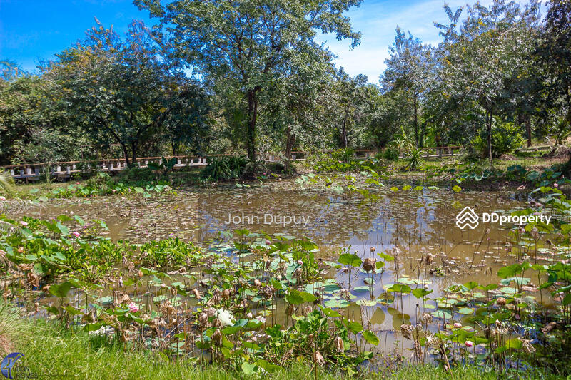 For Sale - Stunning Riverside Home Phibun, Ubon Ratchathani, Ubon Ratchathani