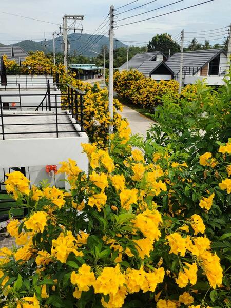 AKN Asset Black Mountain, Prachuap Khiri Khan, 397 ห้วยโดด, Hin Lek Fai, Hua Hin, Prachuap Khiri Khan, 3 Bedrooms, 168 sqm, Single Detached House For Sale, by Benyapa Lomkongkaew, 60017937 - DDproperty.com