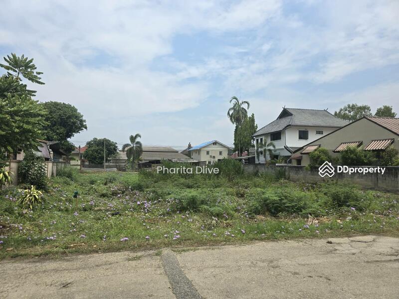 For Sale - Land for sale , near bantormarket 300 m. bantor temple , muangchiang mai, Chiang Mai