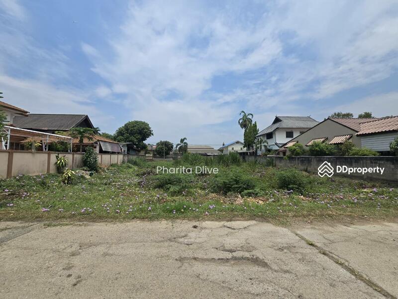For Sale - Land for sale , near bantormarket 300 m. bantor temple , muangchiang mai, Chiang Mai