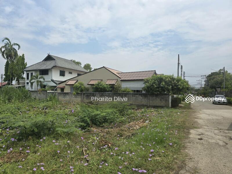 For Sale - Land for sale , near bantormarket 300 m. bantor temple , muangchiang mai, Chiang Mai