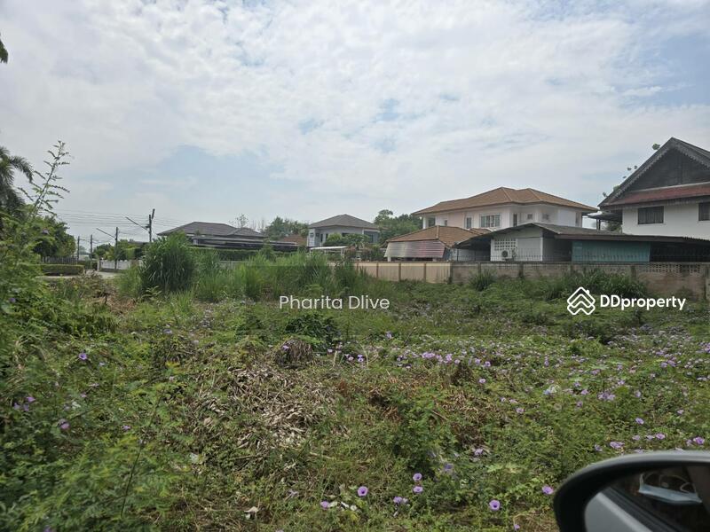 For Sale - Land for sale , near bantormarket 300 m. bantor temple , muangchiang mai, Chiang Mai