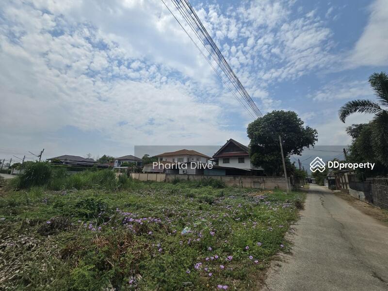 For Sale - Land for sale , near bantormarket 300 m. bantor temple , muangchiang mai, Chiang Mai