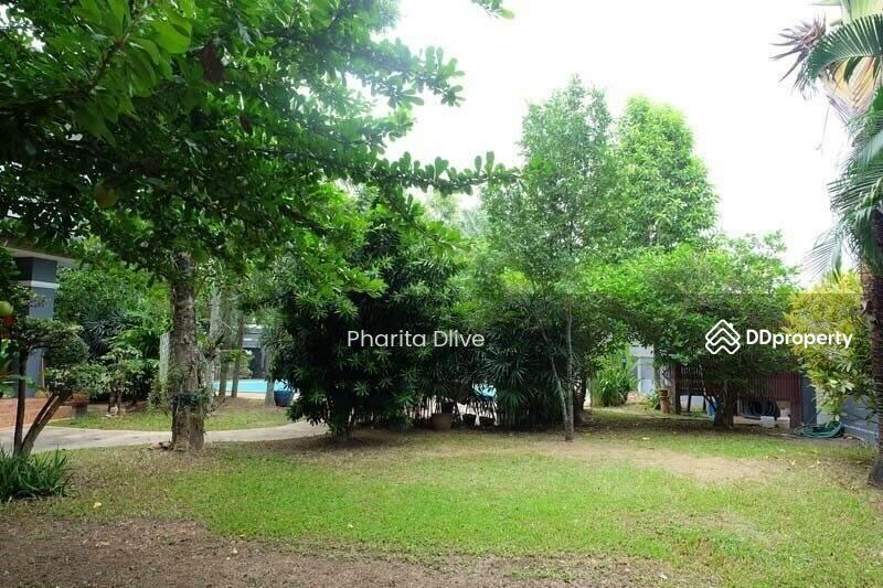 ขาย - Ph0407 ขายบ้านพูลวิลล่า ราคาสุดคุ้มมากๆ กับพื้นที่ขนาด 234 ตรว. 3 นอน 3 น้ำ ขายเพียง 9.5 ลบ., เชียงใหม่
