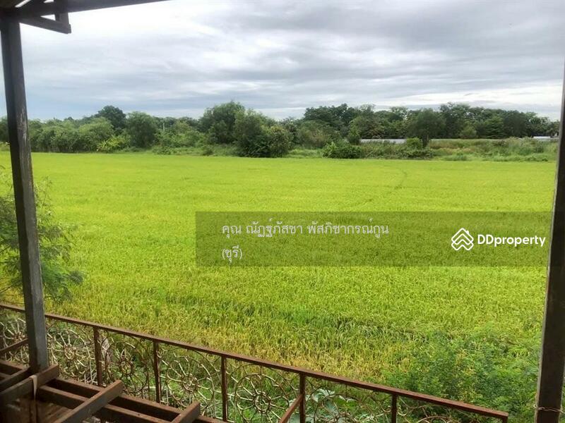 ขาย - หมู่บ้านมาลีรมย์ 5 รังสิต คลอง6, ปทุมธานี
