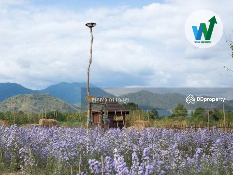 For Sale - Land with Detached House Amphoe Thoen Muang Lampang, Lampang
