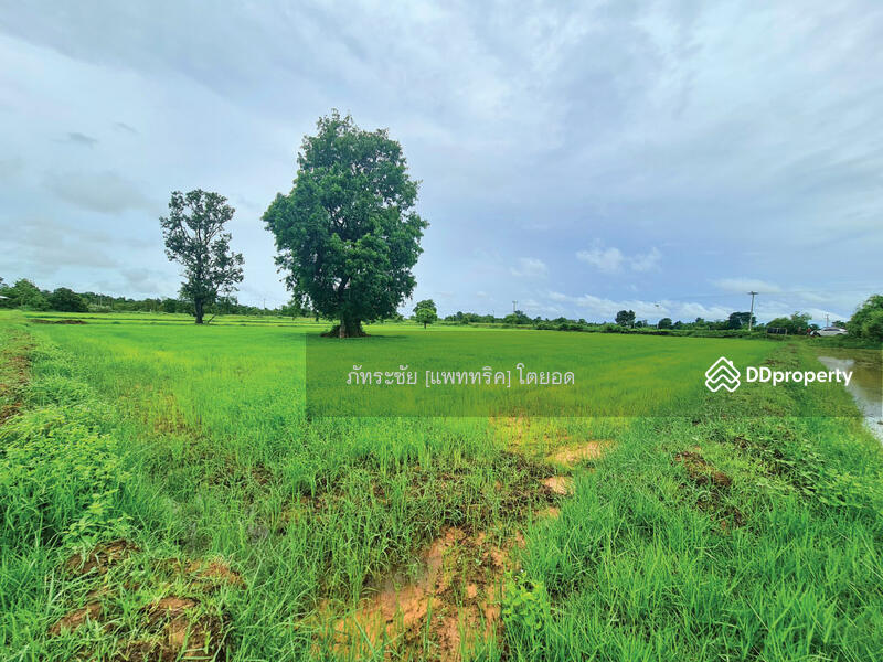 สนใจ ติดต่อคุณอุบล  099-2262928  @KrutzRealty.com