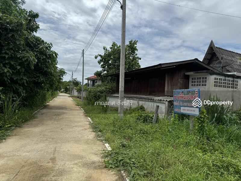 ขาย - ขายที่ดินสำหรับปลูกสร้างบ้าน ติดถนนและแม่น้ำขนาด 74 ตรว. ได้ที่ดินงอกสามารถเพาะปลูกทำการเกษตร, ราชบุรี