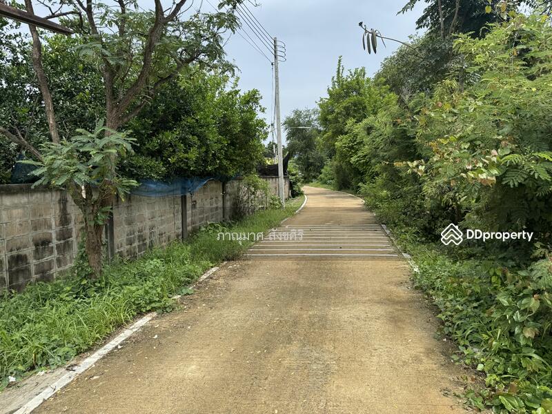 ขาย - ขายที่ดินสำหรับปลูกสร้างบ้าน ติดถนนและแม่น้ำขนาด 74 ตรว. ได้ที่ดินงอกสามารถเพาะปลูกทำการเกษตร, ราชบุรี