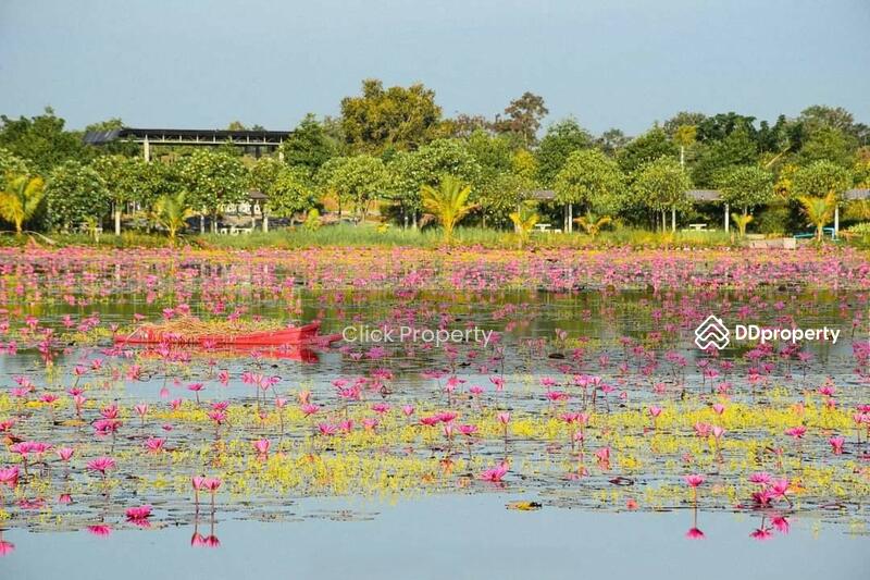 ขาย - บึงบัวแดง นครนายก, นครนายก