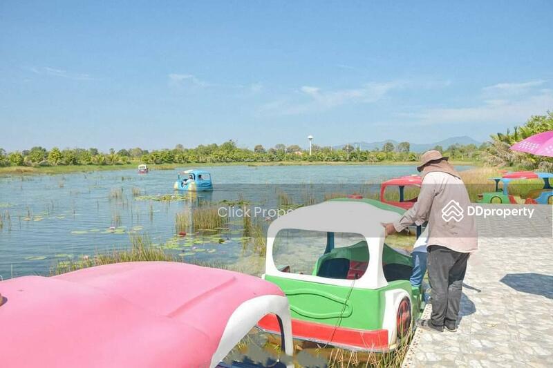 ขาย - บึงบัวแดง นครนายก, นครนายก
