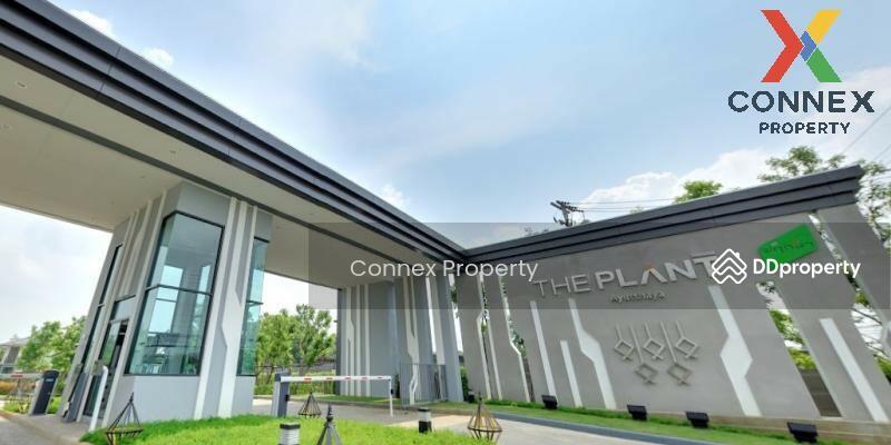 ขาย - เดอะ แพลนท์ อยุธยา The Plant Ayutthaya, พระนครศรีอยุธยา
