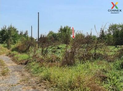 ขาย - ฉลองกรุง ริเวอร์วิลล์ รีสอร์ท Chalongkrung Riverville Resort, กรุงเทพ