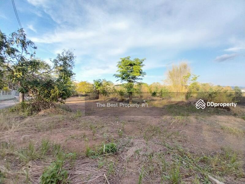 ขาย - ที่ดินโพธิ์ชัย หนองบัวลำภู, หนองบัวลำภู